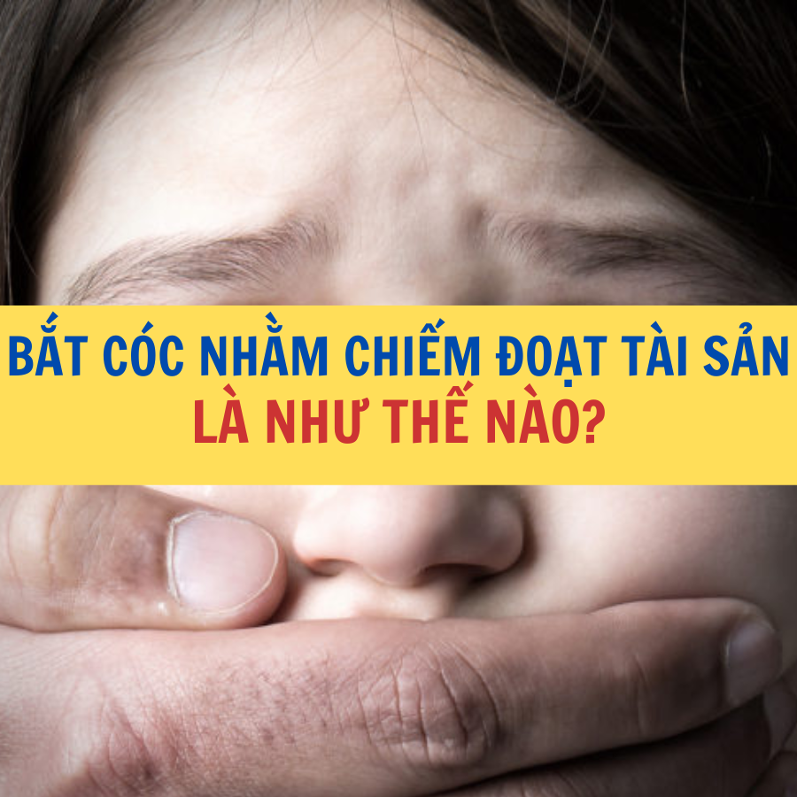 Tội bắt cóc nhằm chiếm đoạt tài sản là như thế nào Công ty Luật Thuận Đức